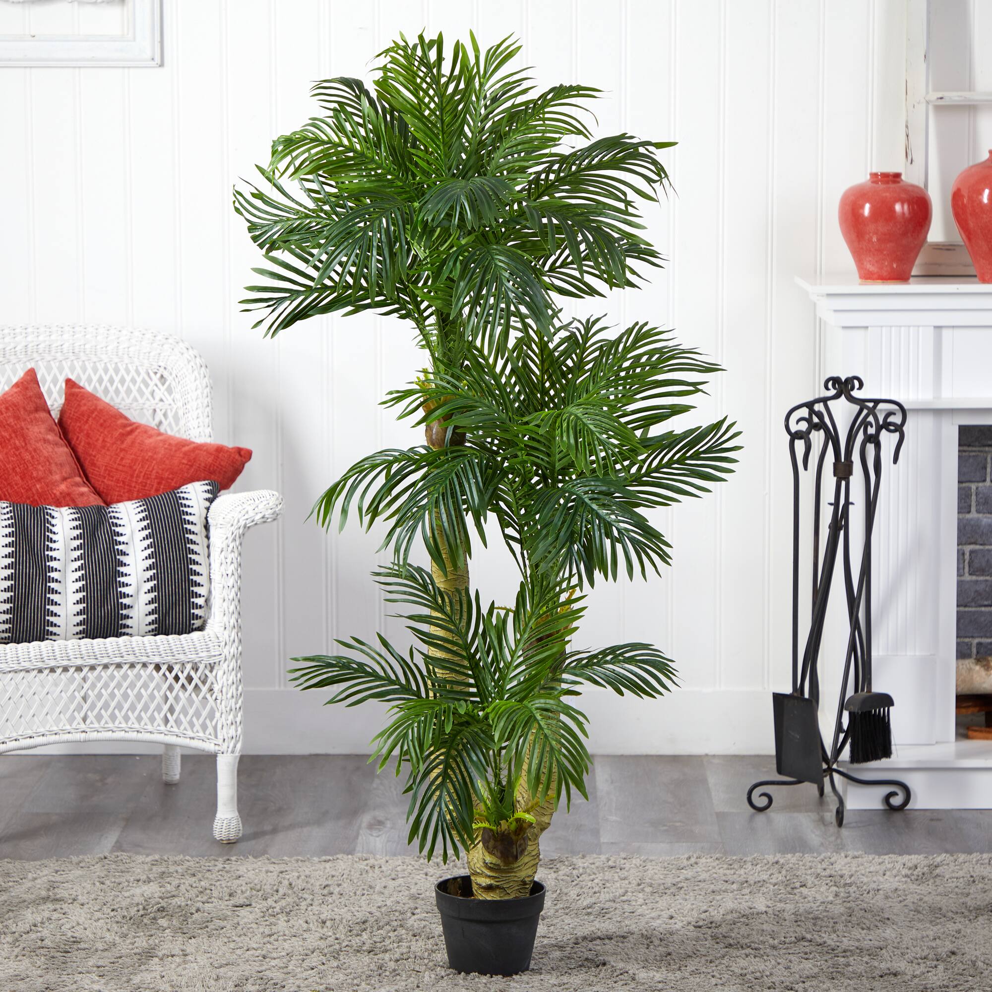 5ft. Potted Triple Phoenix Palm Tree